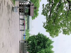 -上海滨江森林公园