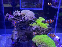-海合安青岛极地海洋公园