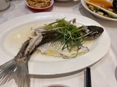 -稻香酒家·35年老字号(侨光店)