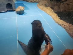 -太平洋海底世界