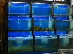 水产区-老东镇啤酒屋海鲜加工·蒸汽海鲜·海鲜烧烤(台东店)