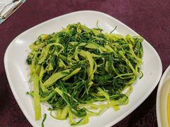 -新合益乡村农庄