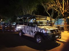 -清迈夜间动物园