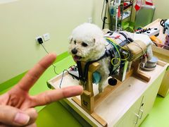 -美联众合动物医院·24h转诊中心