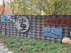 -金山农民画村-枫泾波兰倒置屋