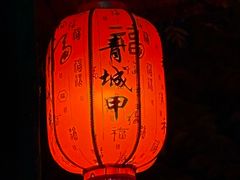 -青城甲(青城山店)