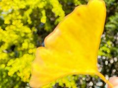 -苏州河梦清园环保主题公园