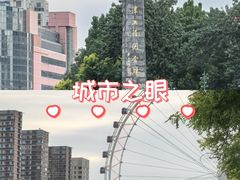 -海河游船-永乐码头(大悲院)