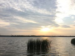 -丁香湖公园