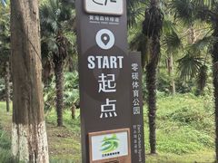 -黄海国家森林公园