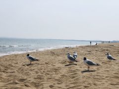 -金梦海湾浴场