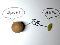 -贵凤凰贵州米粉(望京店)