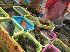 -大湾区中央湿地公园-十九涌