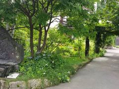 -富田农场