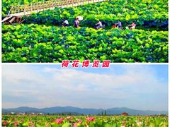 -萍乡武功山风景名胜区