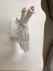 -圣嘉新医疗美容医院