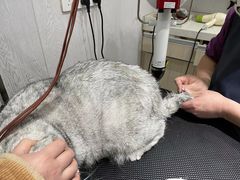 -宠颐生动物医院·小陆分院