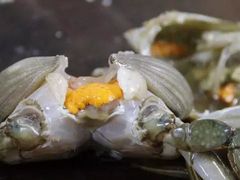 -阿婆潮汕砂锅粥(王府大街店)