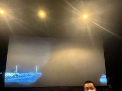 -万达影城(锦华万达广场IMAX店)