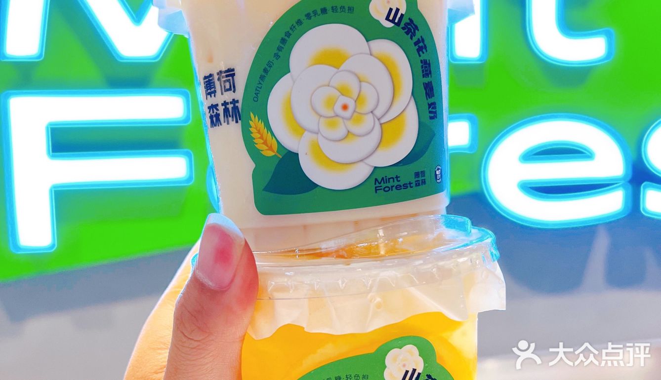 漳州探店 | 我的冬天不能没有「薄荷森林」❗