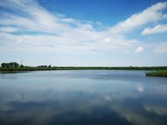 -宁波杭州湾国家湿地公园