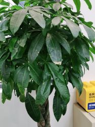 -悦·臻时美发沙龙