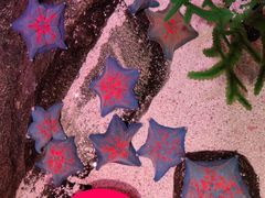 -沈阳海洋探索中心