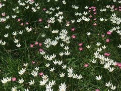 -平安（深圳）金融教育培训中心