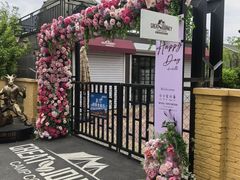 -哈拉新村