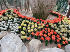 -南山植物园