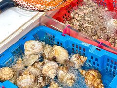 -金砂阿洲鱼册店