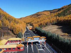 -塞罕坝国家级自然保护区