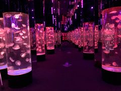 -成都浩海立方海洋公园