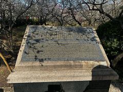 -香雪海