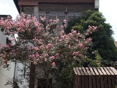 -丝绸小镇荻港古村
