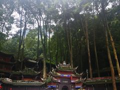 -青城山