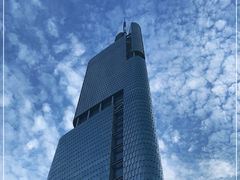 -紫峰大厦