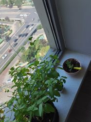 -一个差评成就的纹眉店
