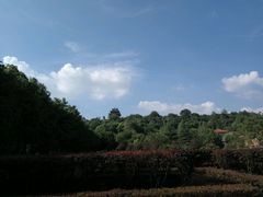 -辛亥革命博物院北区