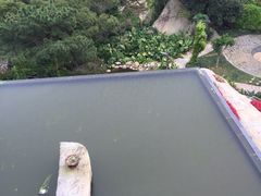 -厦门园林植物园-植物园滴水山房