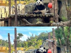 -宁波野生动物园