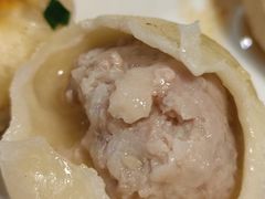 舒蔡记特色生煎-舒蔡记生煎菜饭(云南中路店)