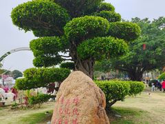 -石炮台公园