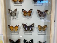 -浙江自然博物院(杭州馆)