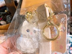 -猫咪博物馆(顶澳仔猫街店)