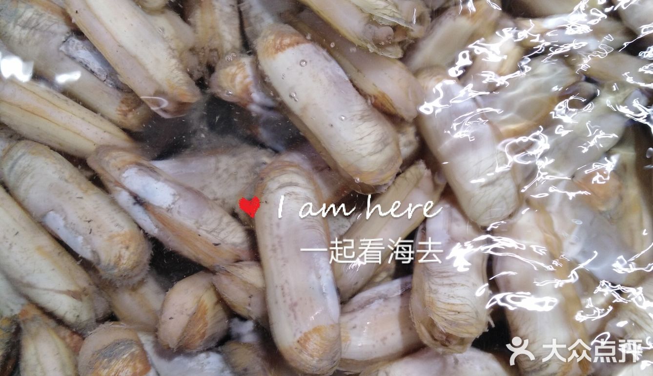 海姐教你家常菜（71）之香炒指甲螺