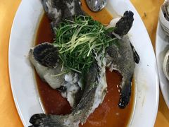 -蚝专家(北滘店)