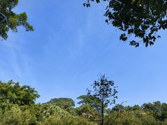 -东莞植物园