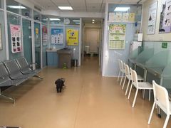 -瑞派·关忠动物医院·猫专科·犬专科(三环新城店)