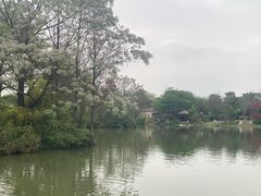 -海珠湖公园